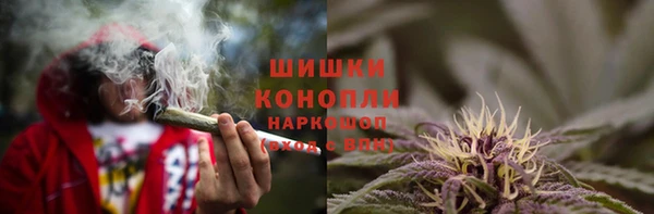 эйфоретик Арсеньев