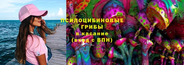 эйфоретик Арсеньев