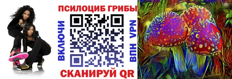Псилоцибиновые грибы Psilocybine cubensis наркошоп сайты даркнета официальный сайт Фролово