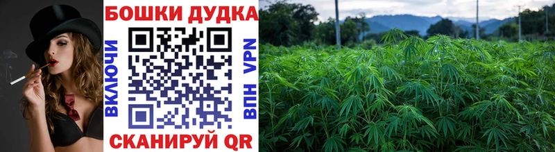 Канабис White Widow  наркошоп  Фролово 